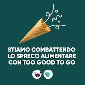logo toogoodtogo